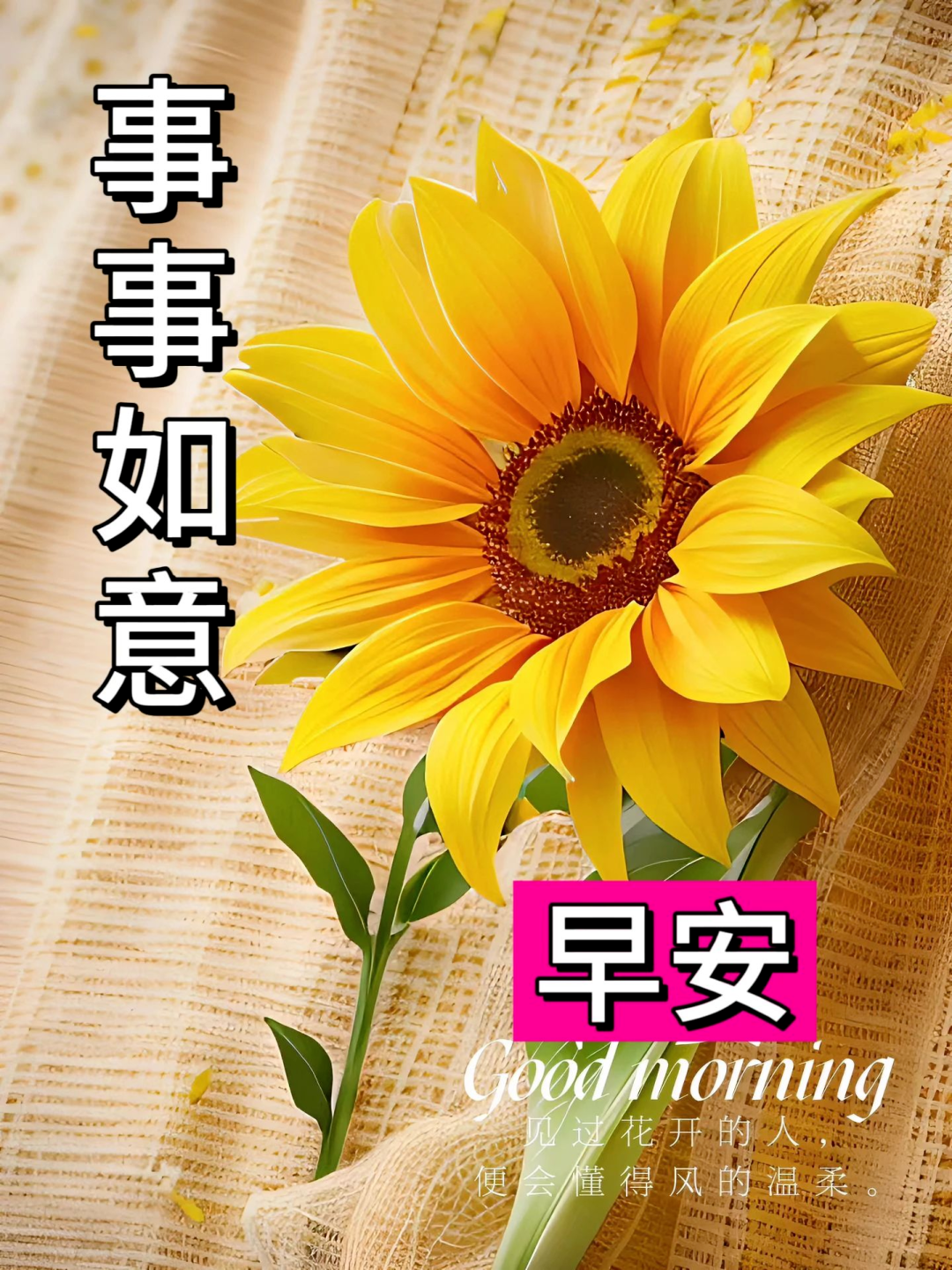 早安,早上好,上午好