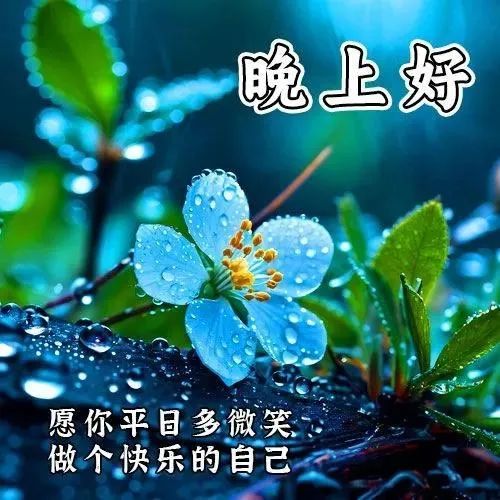 晚上好,晚安
