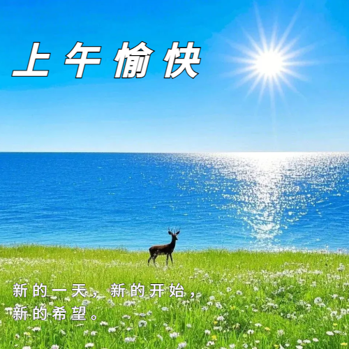 上午好