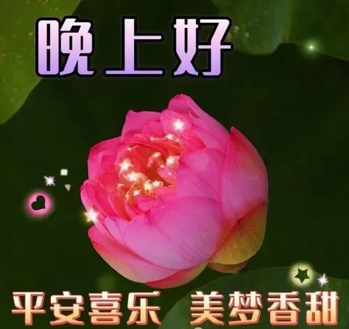 晚上好,晚安