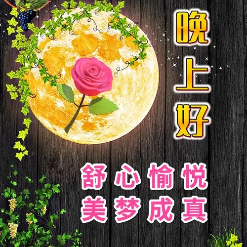 晚上好,晚安