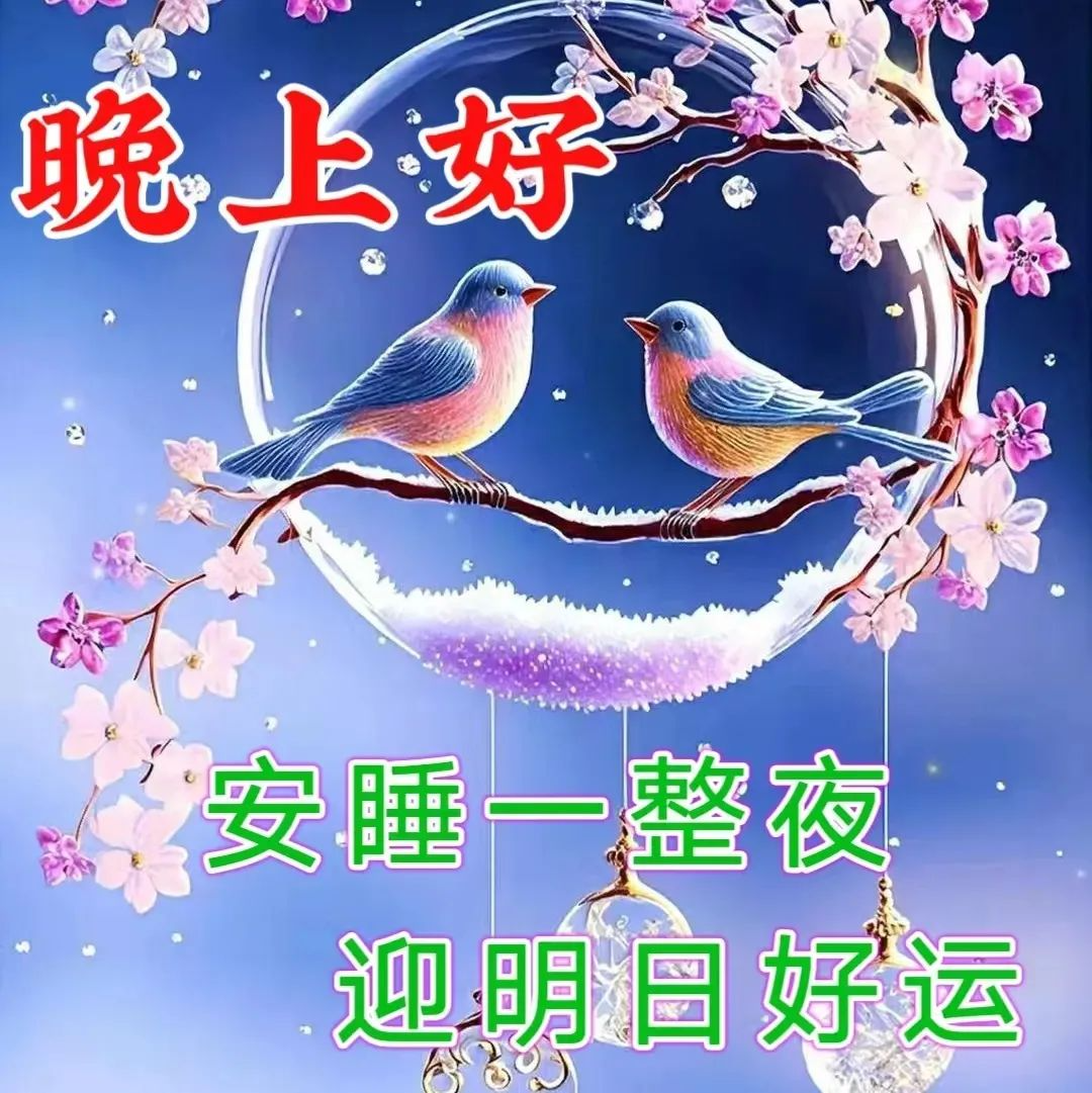 晚上好,晚安