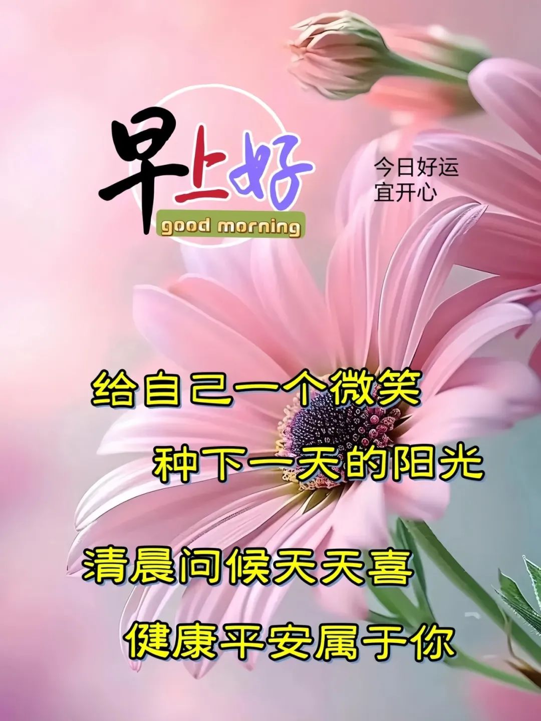 早安,早上好,上午好