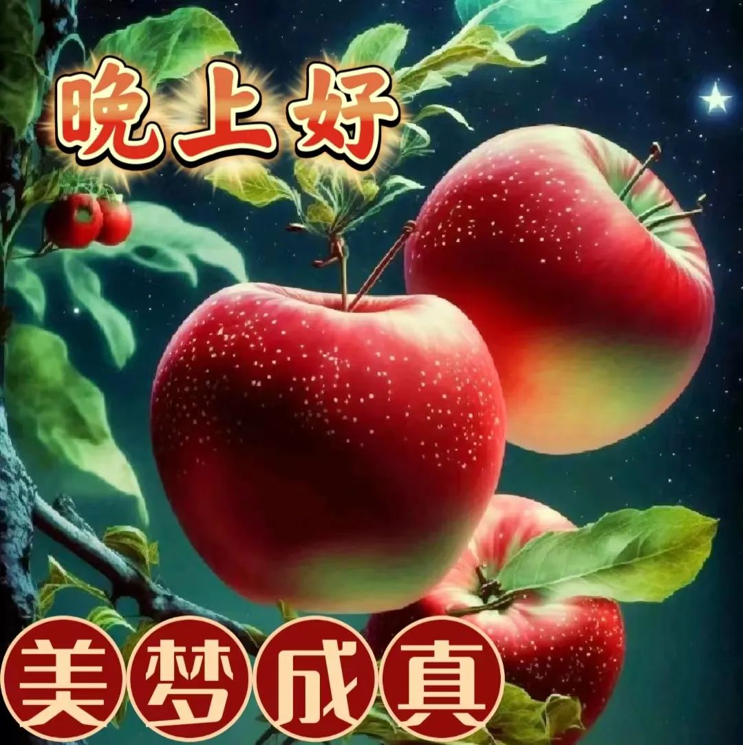晚上好,晚安