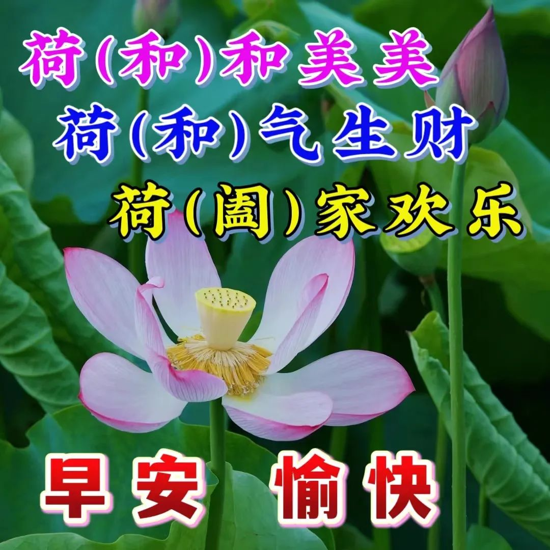 早安,早上好,上午好
