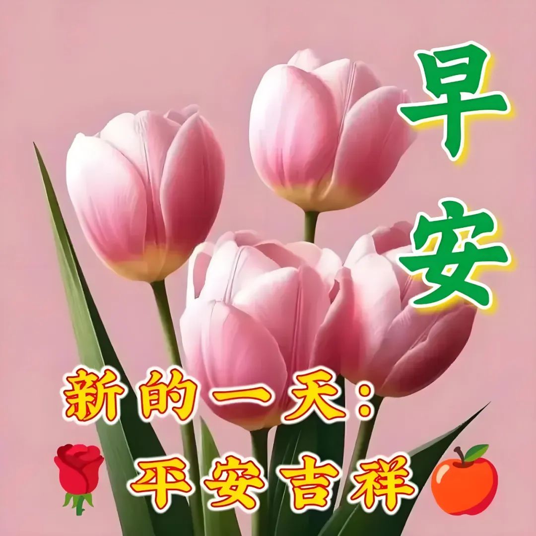 早安,早上好,上午好