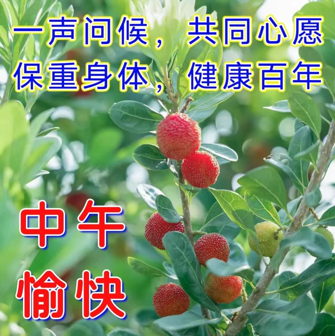 中午好,午安