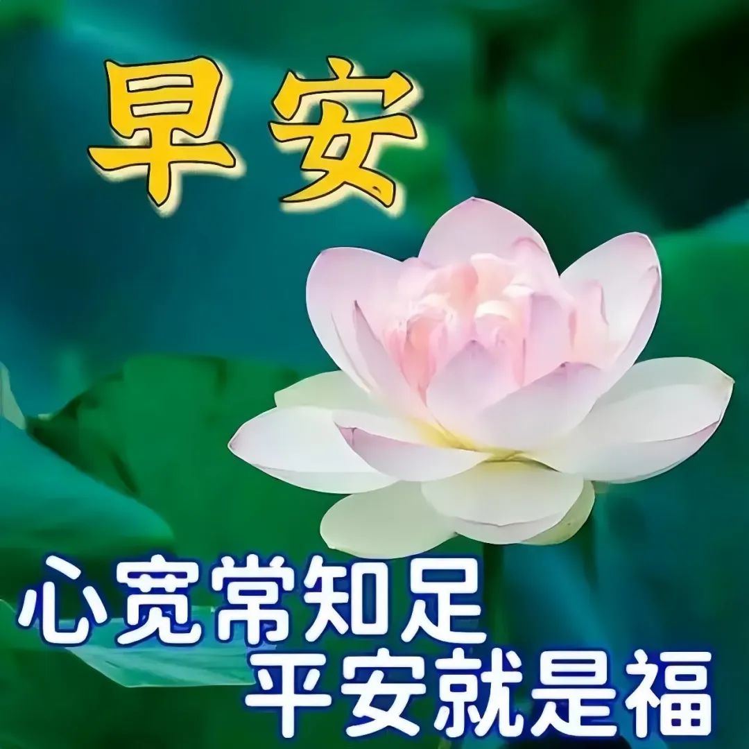 早安,早上好,上午好
