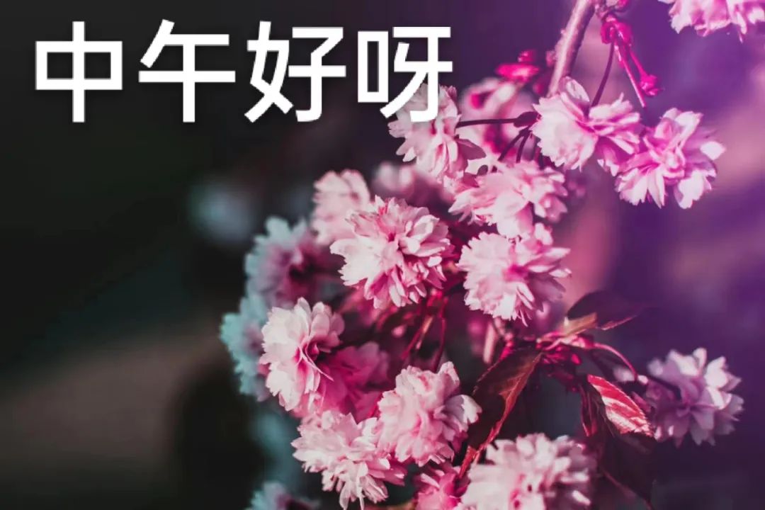 中午好,午安