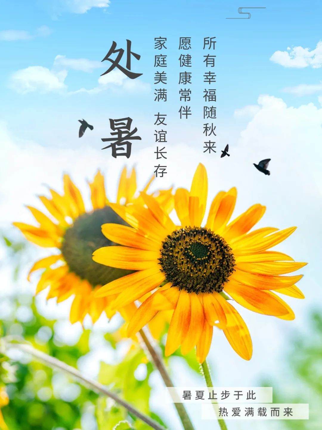 处暑