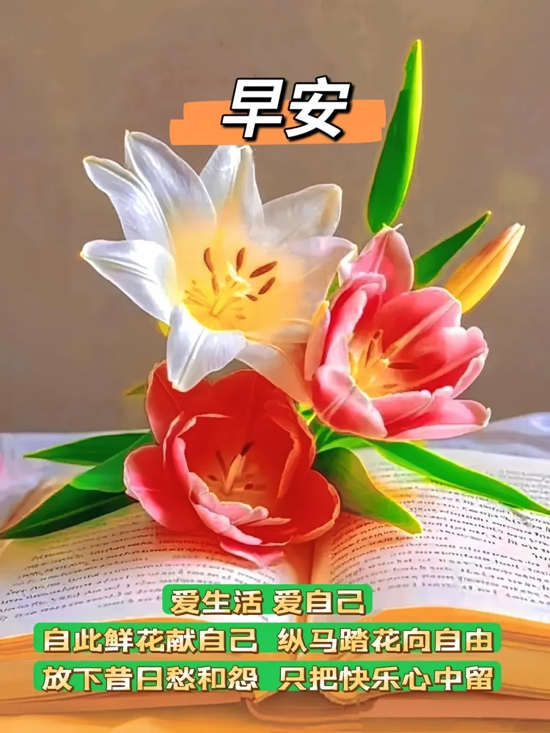 早安,早上好,上午好