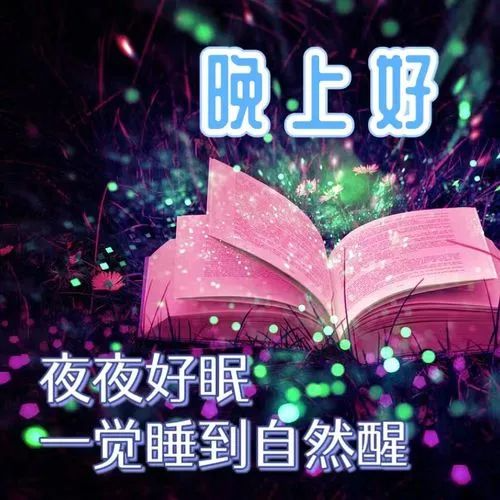 晚上好,晚安