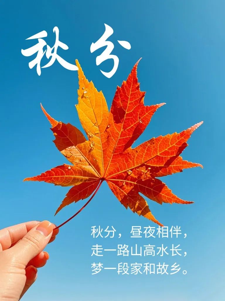 秋分