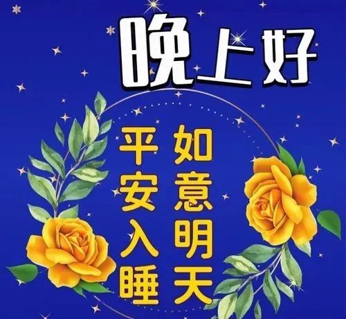 晚上好,晚安