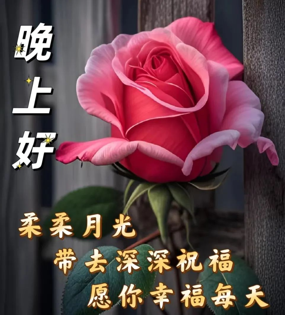 晚上好,晚安
