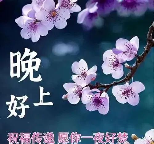 晚上好,晚安