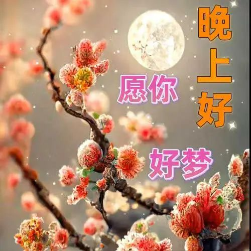 晚上好,晚安