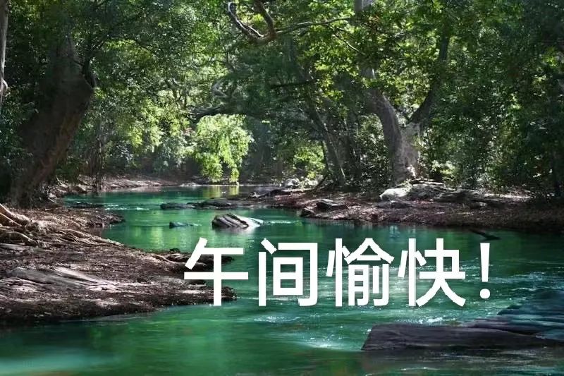 中午好,午安