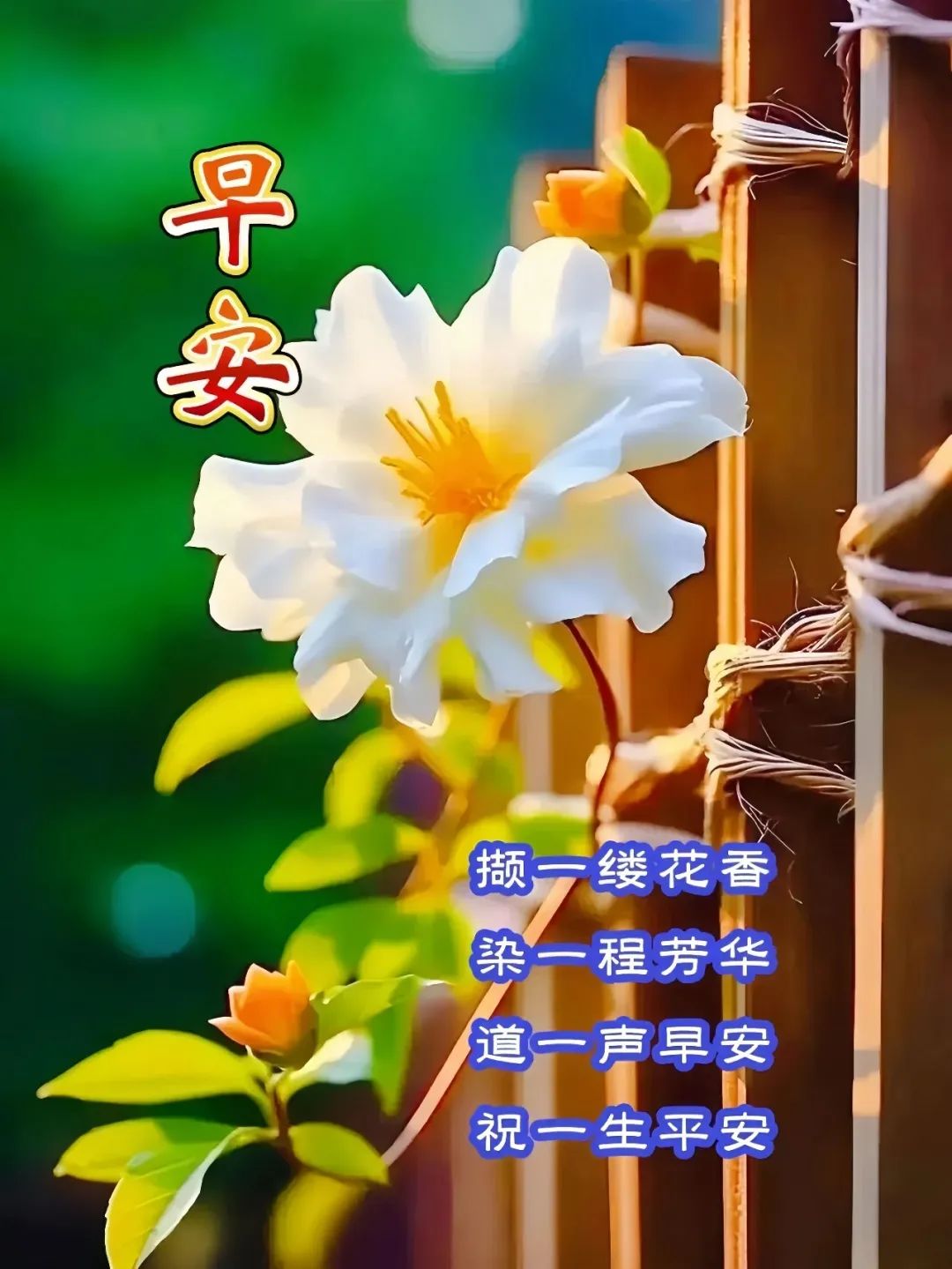 早安,早上好,上午好