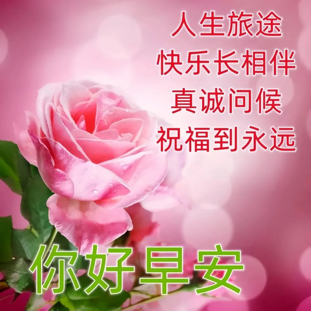 早安,早上好,上午好