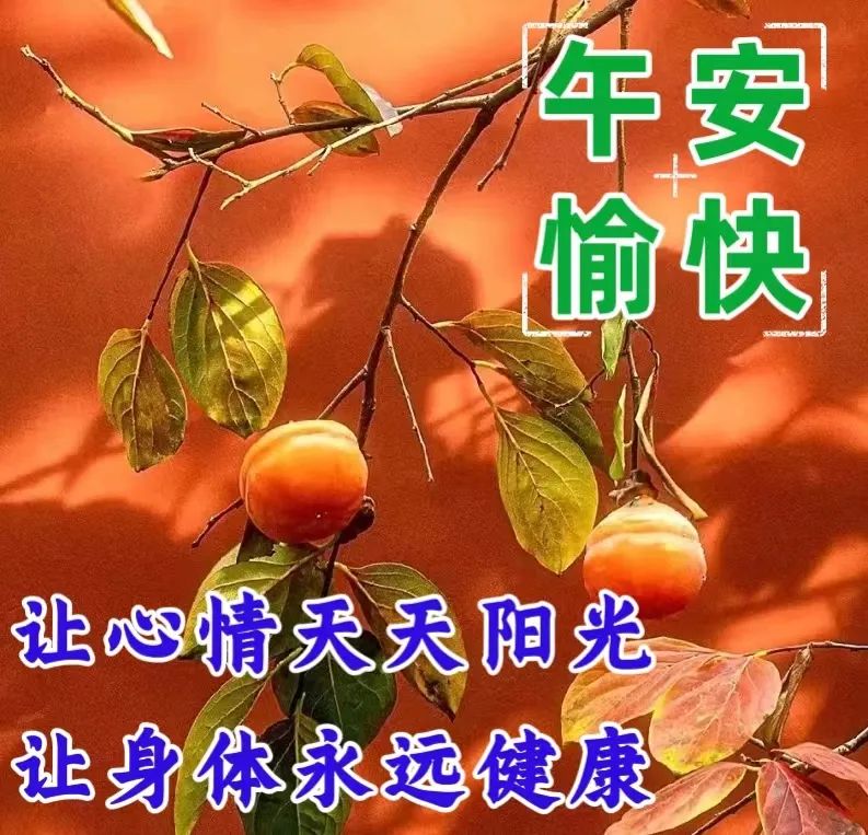 中午好,午安
