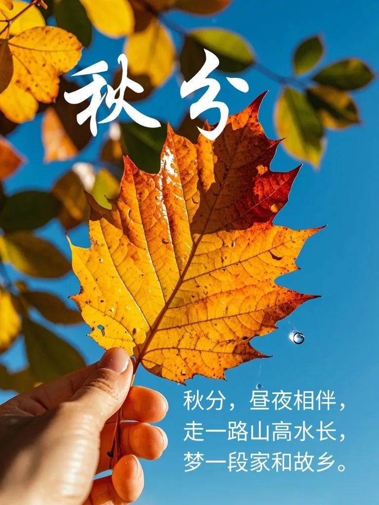 秋分