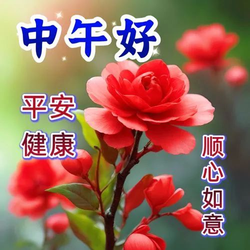 中午好,午安