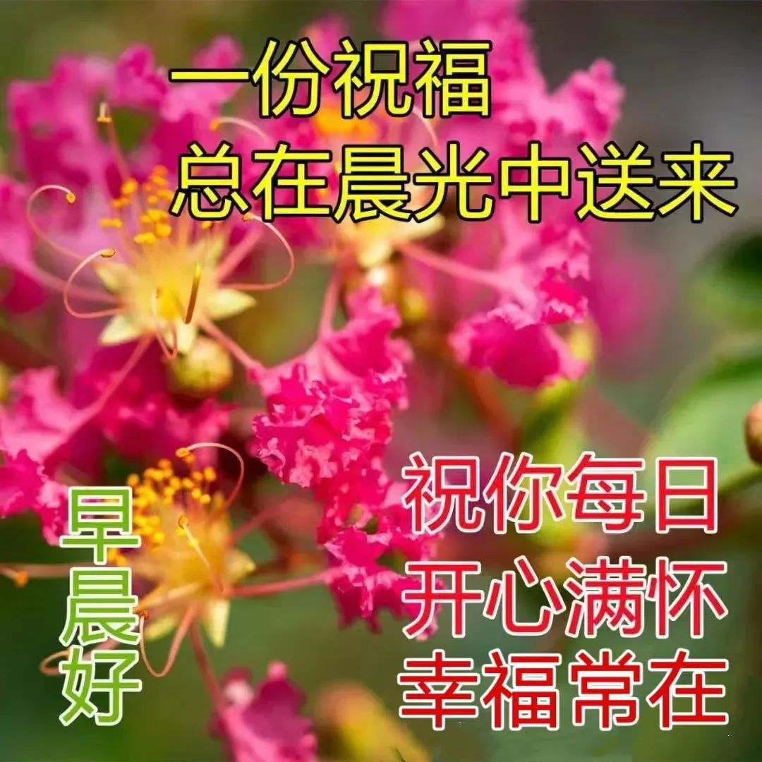 早安,早上好,上午好