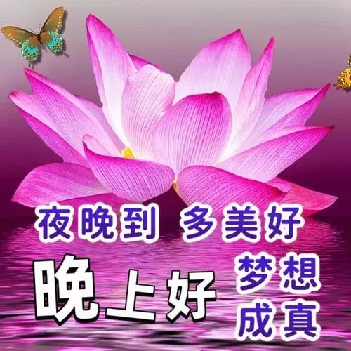 晚上好,晚安