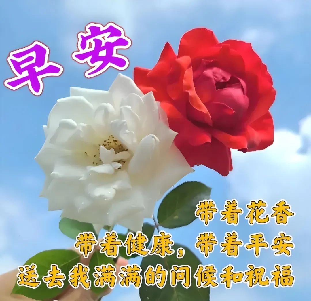 早安,早上好,上午好