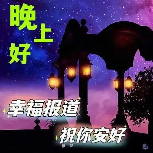 晚上好,晚安