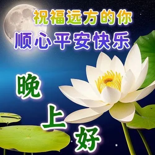 晚上好,晚安