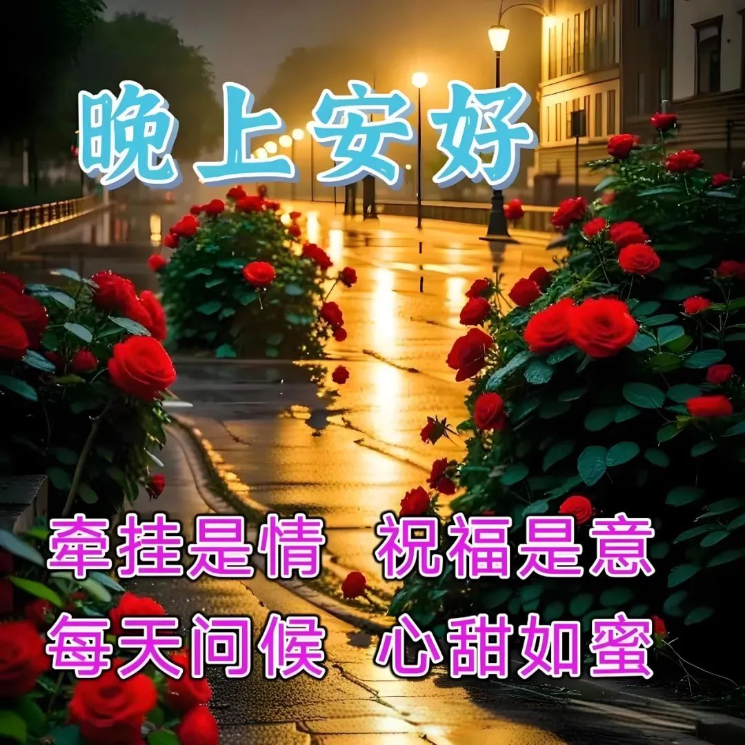 晚上好,晚安