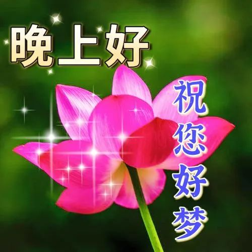 晚上好,晚安
