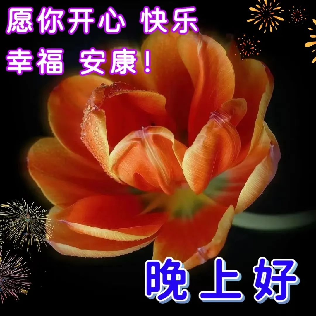 晚上好,晚安