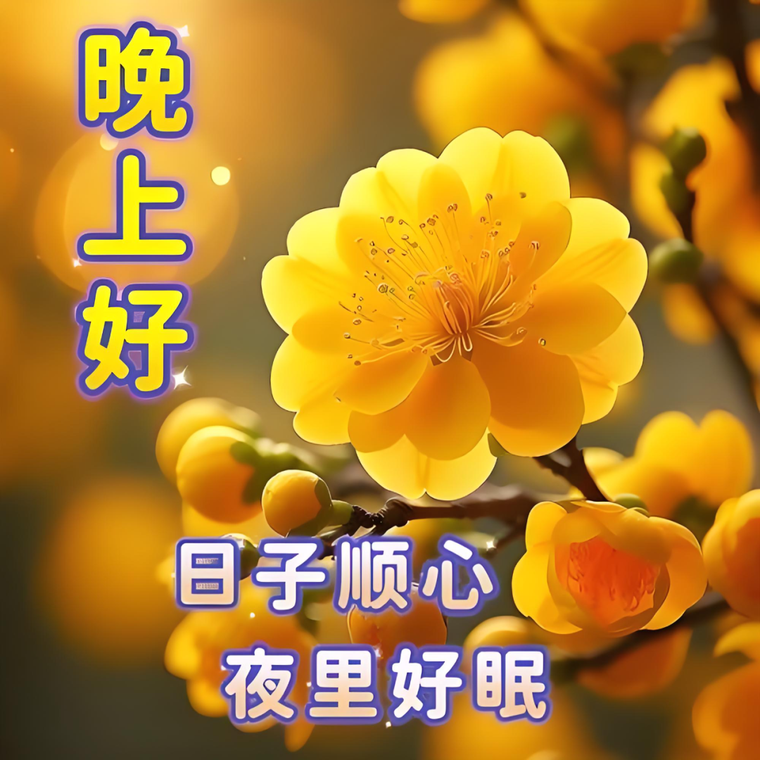晚上好,晚安