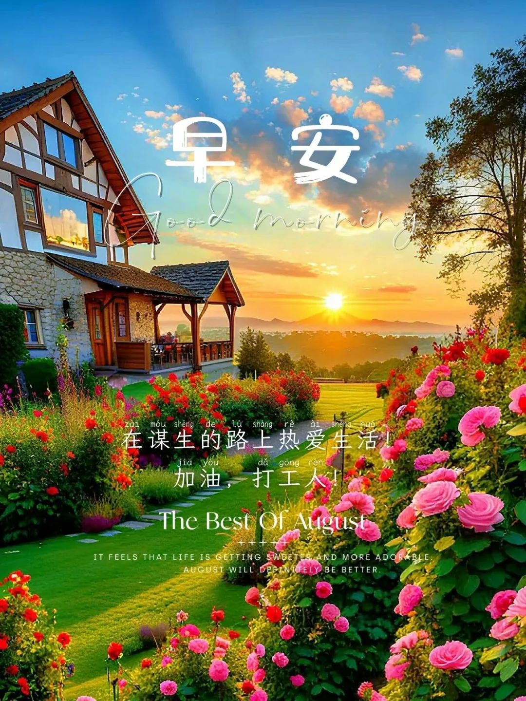 早安,早上好,上午好