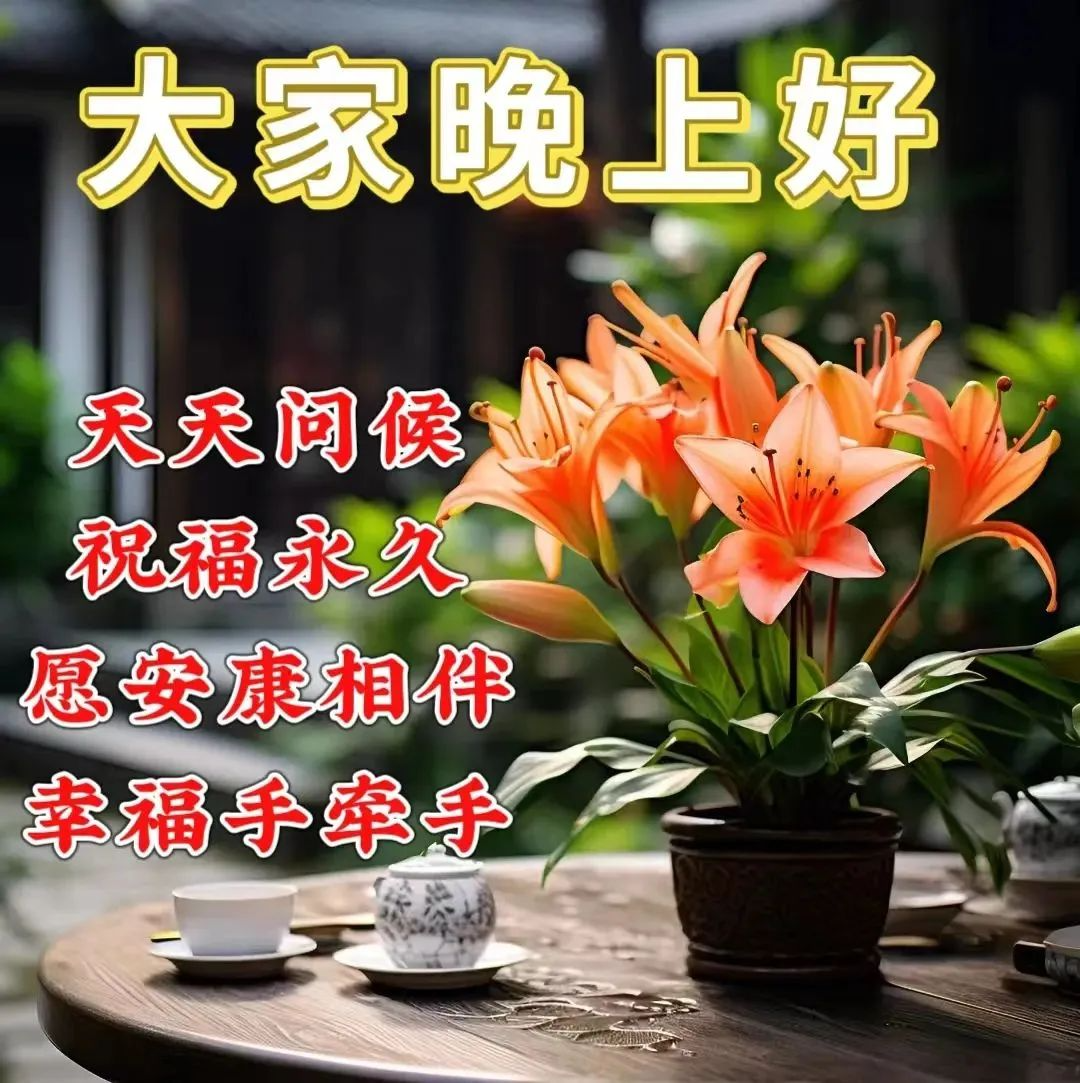 晚上好,晚安