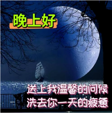 晚上好,晚安