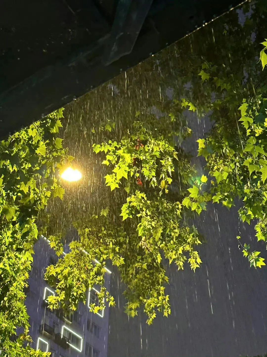 下雨天