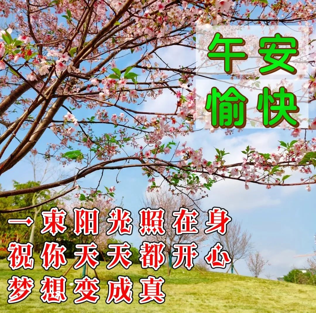 中午好,午安