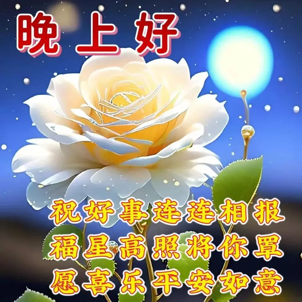晚上好,晚安