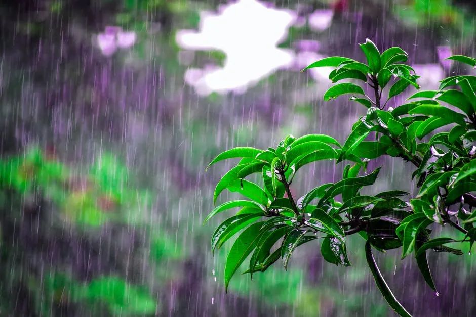 下雨天