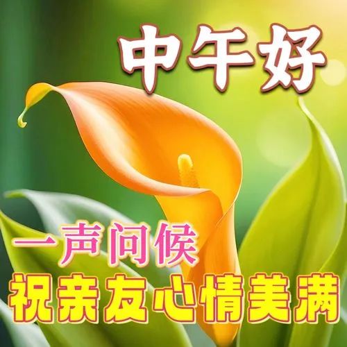 中午好,午安