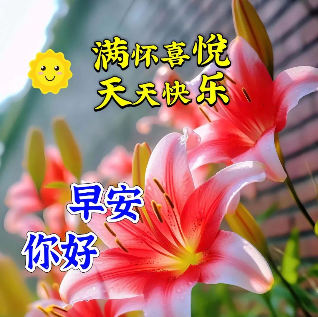 早安,早上好,上午好