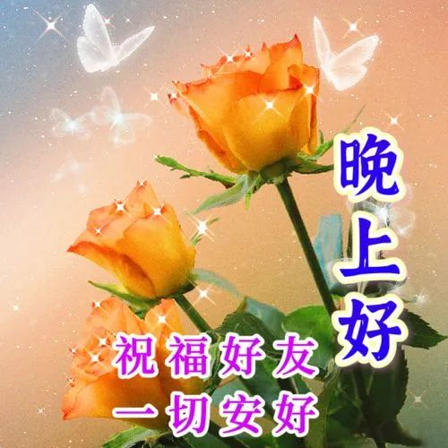 晚上好,晚安