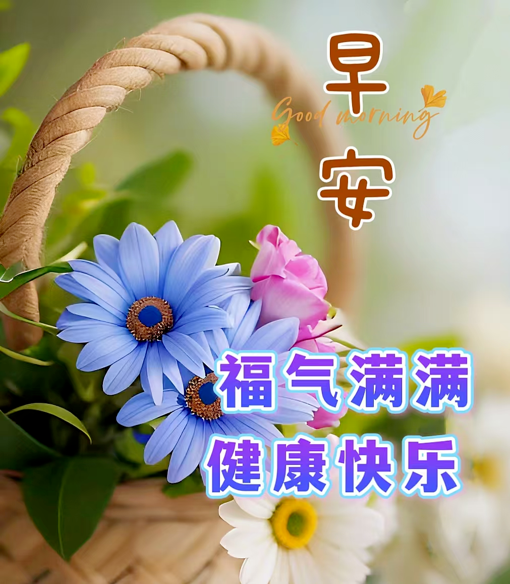 早安,早上好,上午好