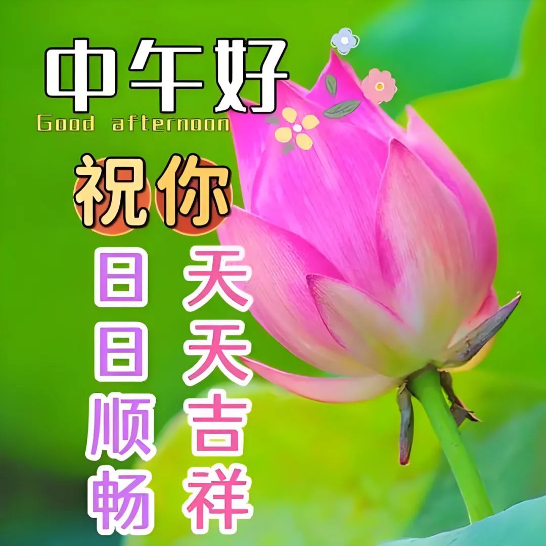 中午好,午安
