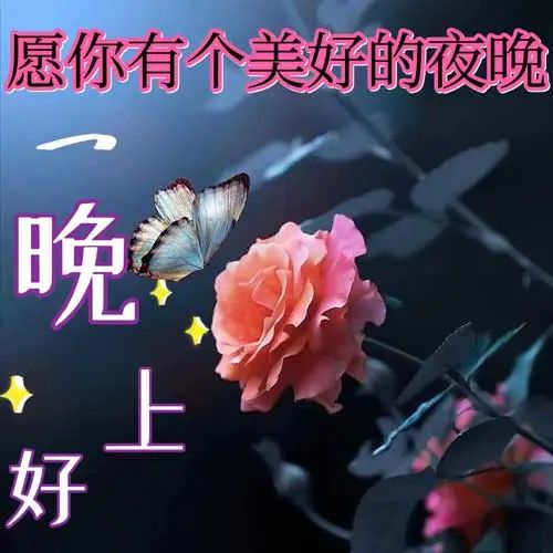 晚上好,晚安
