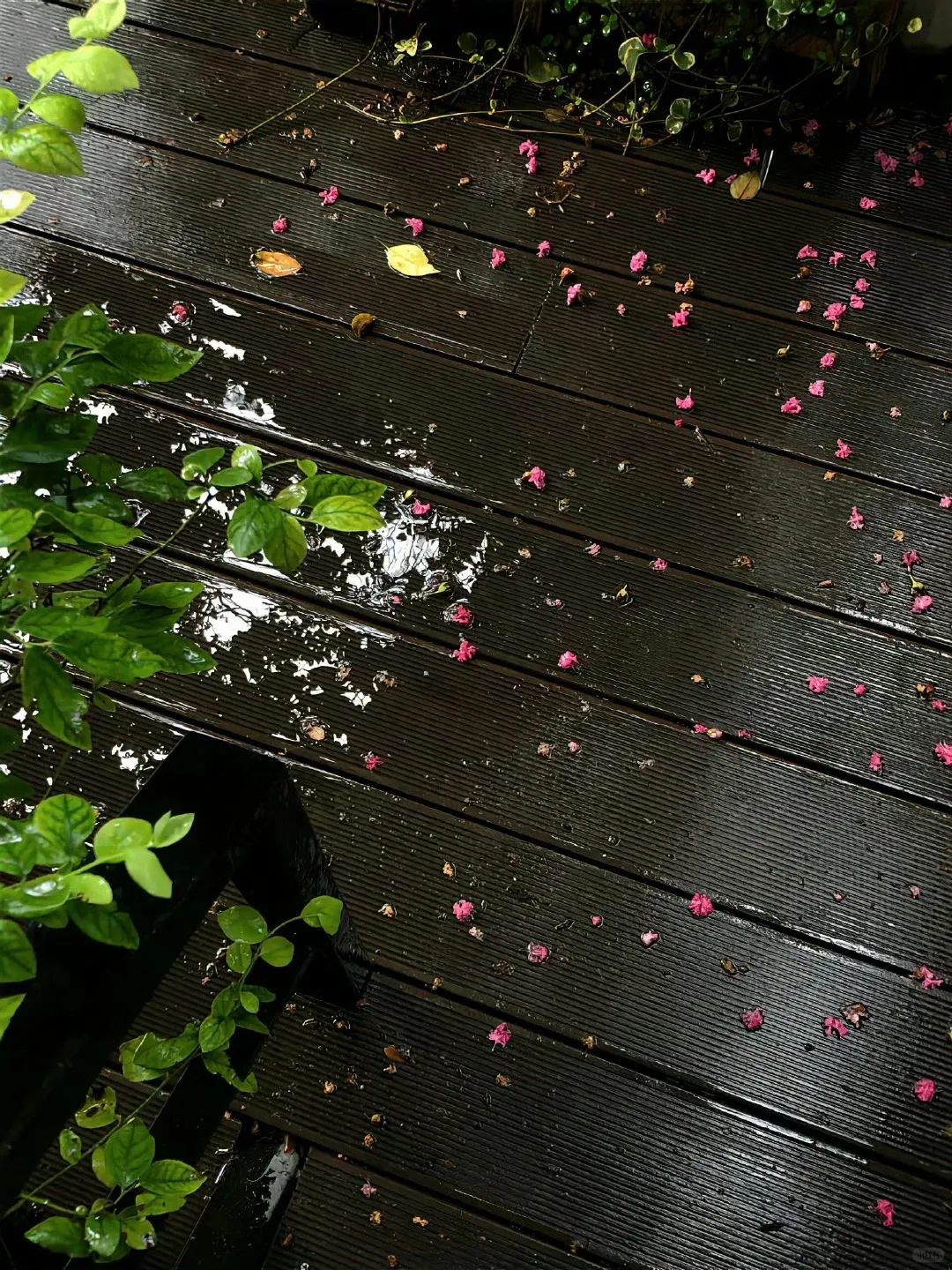 下雨天